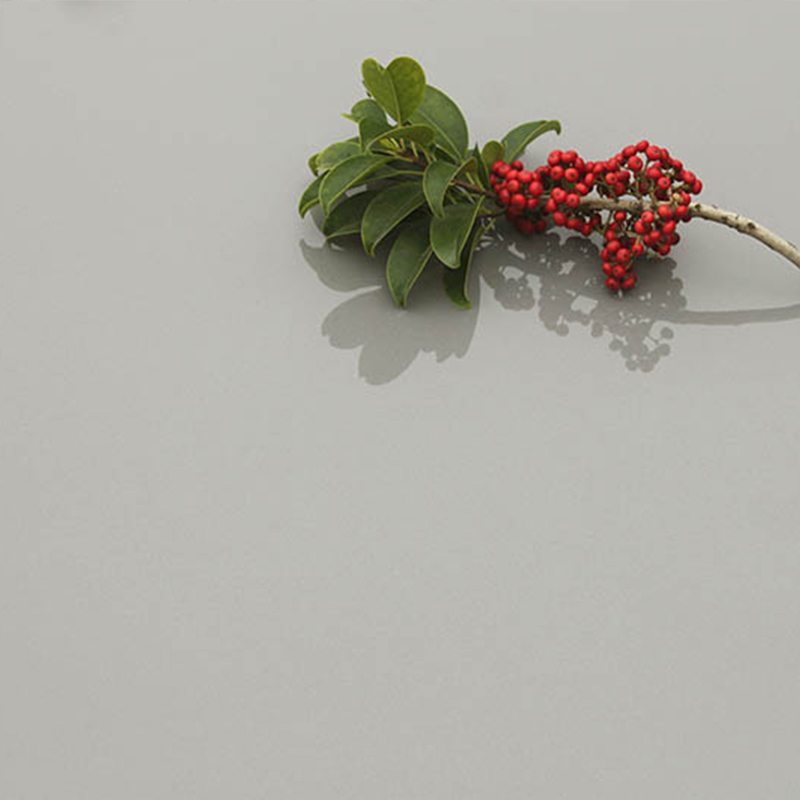 Azulejos pulidos cl&aacute;sicos-SC-11特写